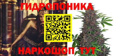 spice Будённовск